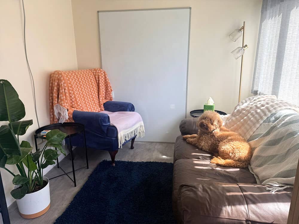 Private psychotherapy room in Clutton near Chester